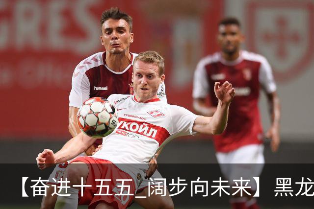 【奋进十五五 阔步向未来】黑龙江农机产业正加速迈向高端化智能化绿色化